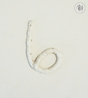 Making a six
