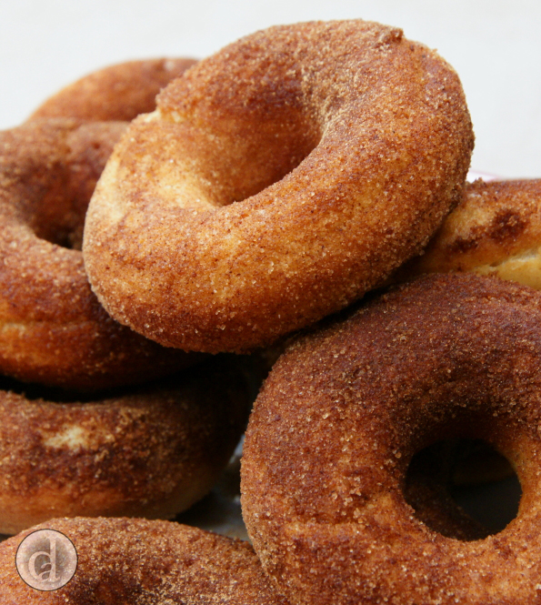 Sprinkled with Cinnamon Sugar cinnamon500011